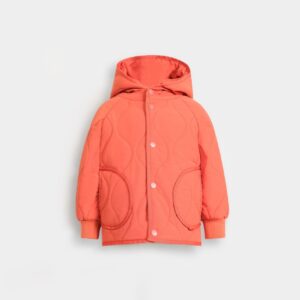 Quilted Puffer Jacket With Hood