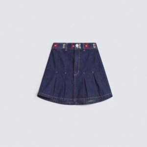 Embroidered Skirt With Pleats