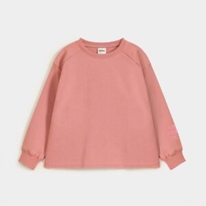 Raglan Sleeve Embroidered Sweatshirt