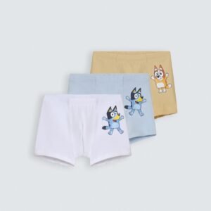 Pack of 3-Briefs