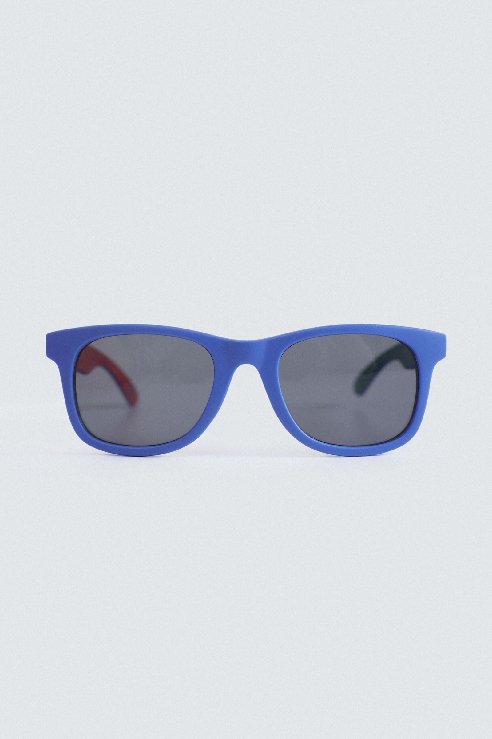 Wayfarer Sunglasses