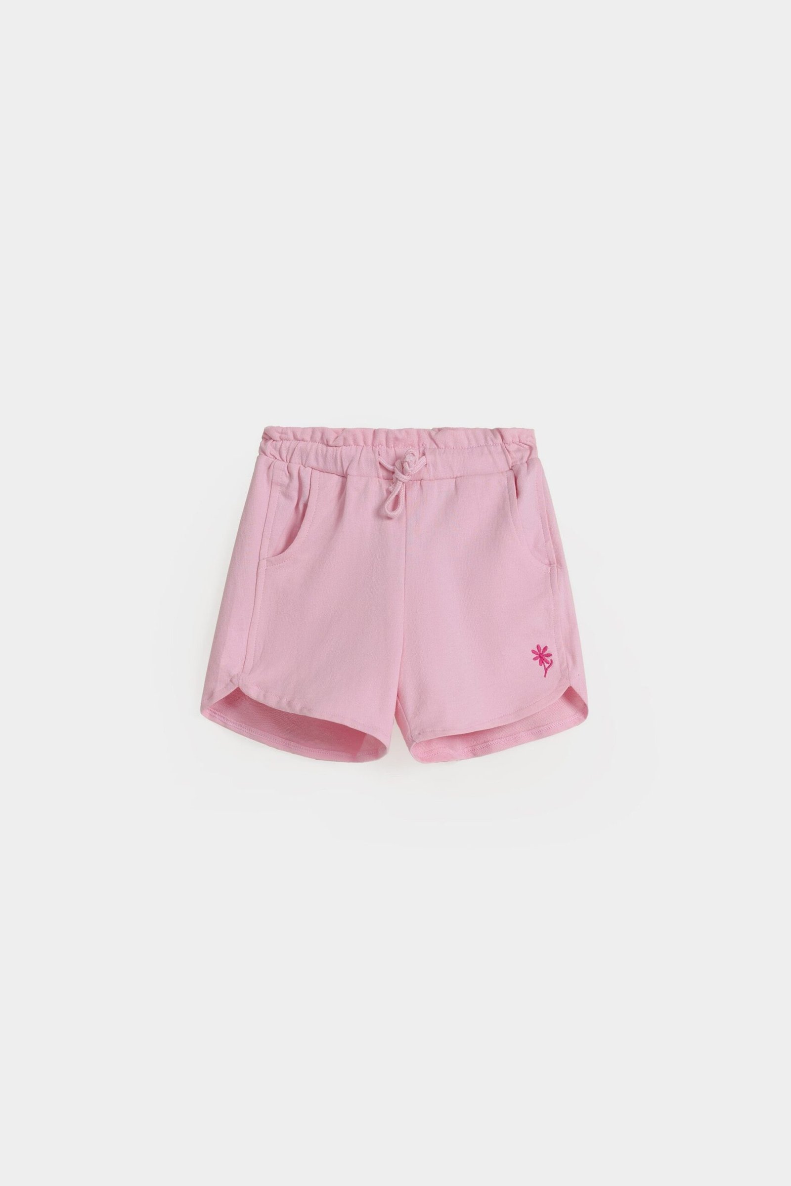 Floral Embroidered Shorts