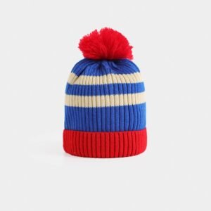Multi-Colored Beanie