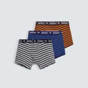 Pack Of 3-Striped Boxers