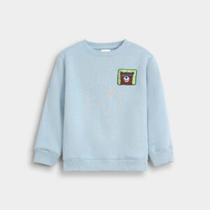 Embroidered Sweatshirt