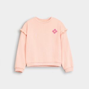 Embroidered Sweatshirt