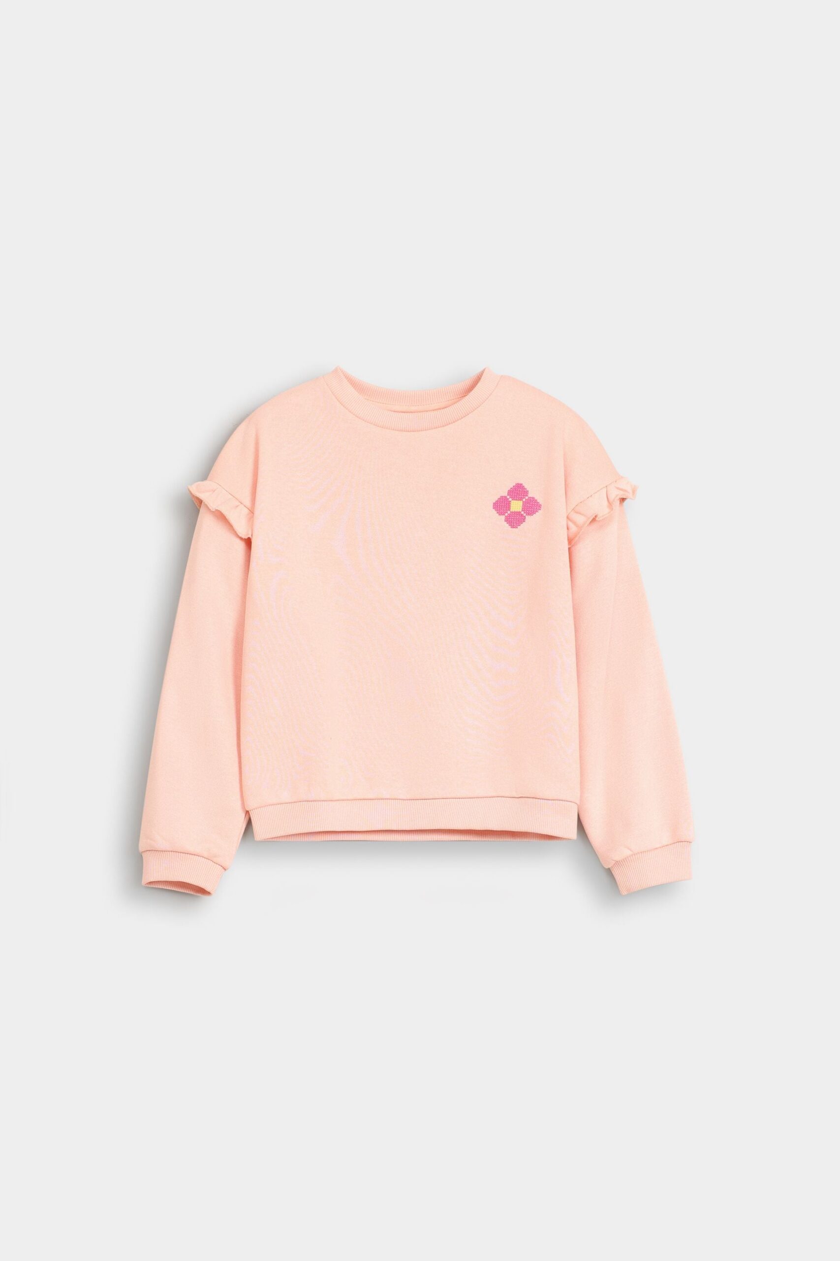 Embroidered Sweatshirt