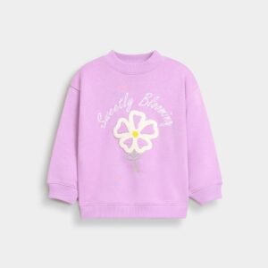 Embroidered Sweatshirt