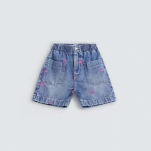 Embroidered Shorts