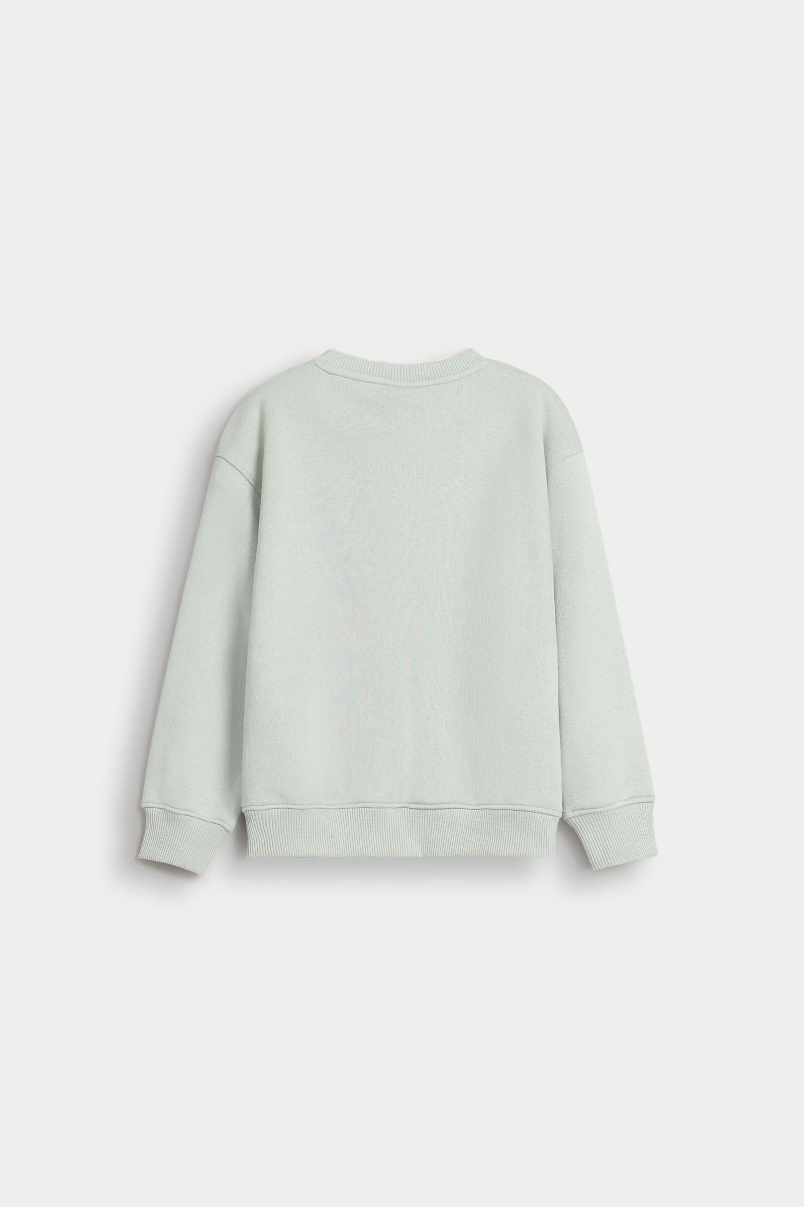 Basic Sweatshirt With Cut & Sew Detail - Image 3