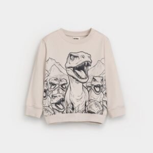 Graphic Sweatshirt