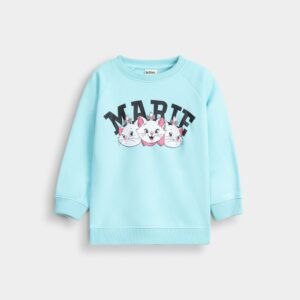 Raglan Graphic Sweatshirt