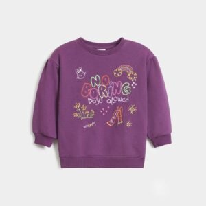Embroidered Sweatshirt