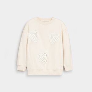 Embroidered Sweatshirt