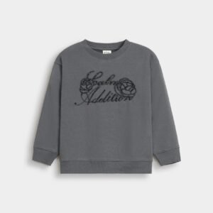 Sweatshirt With Tulle Applique Detail