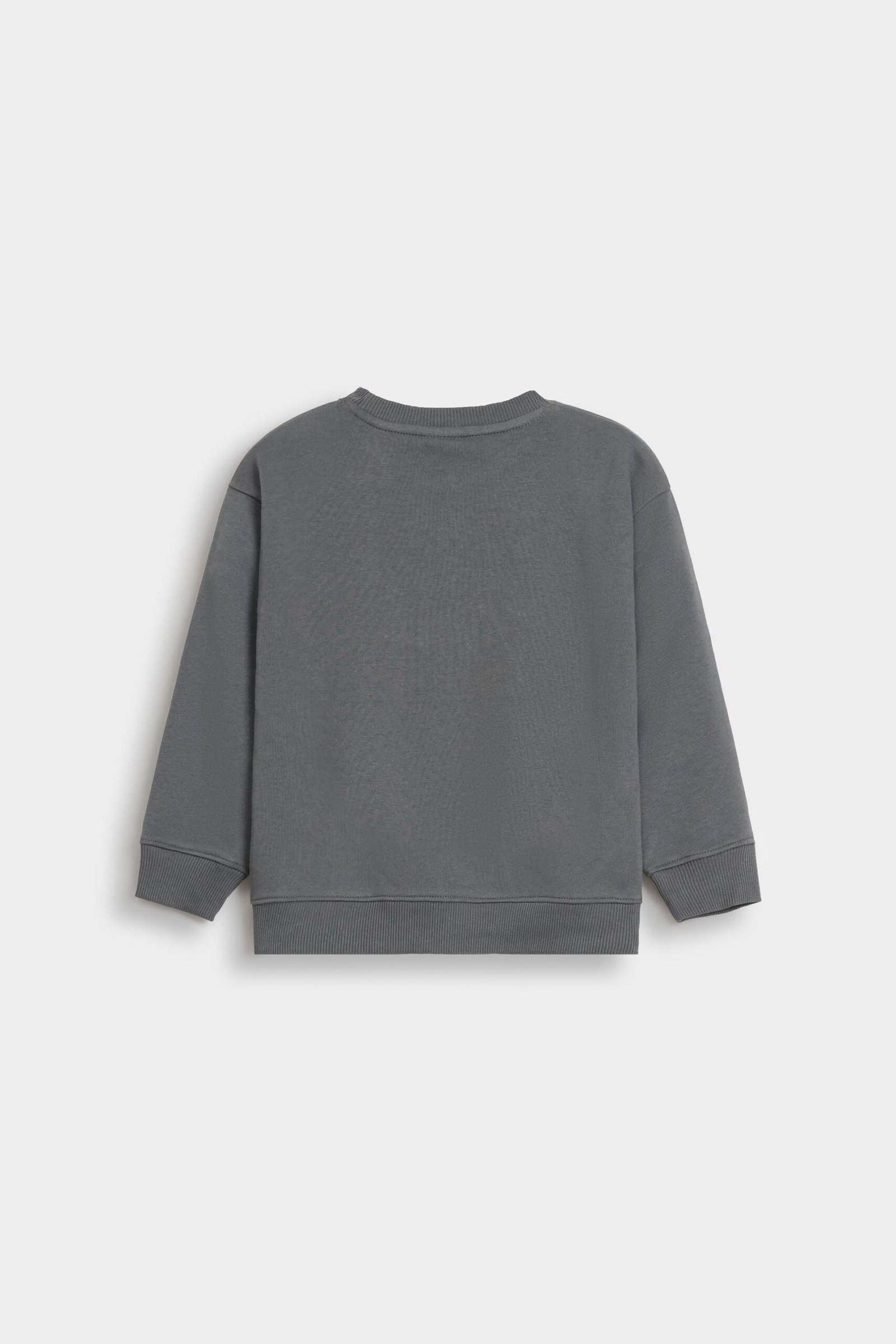 Sweatshirt With Tulle Applique Detail - Image 3