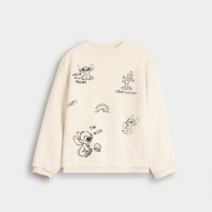 Embroidered Sweatshirt