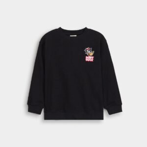 Embroidered Sweatshirt