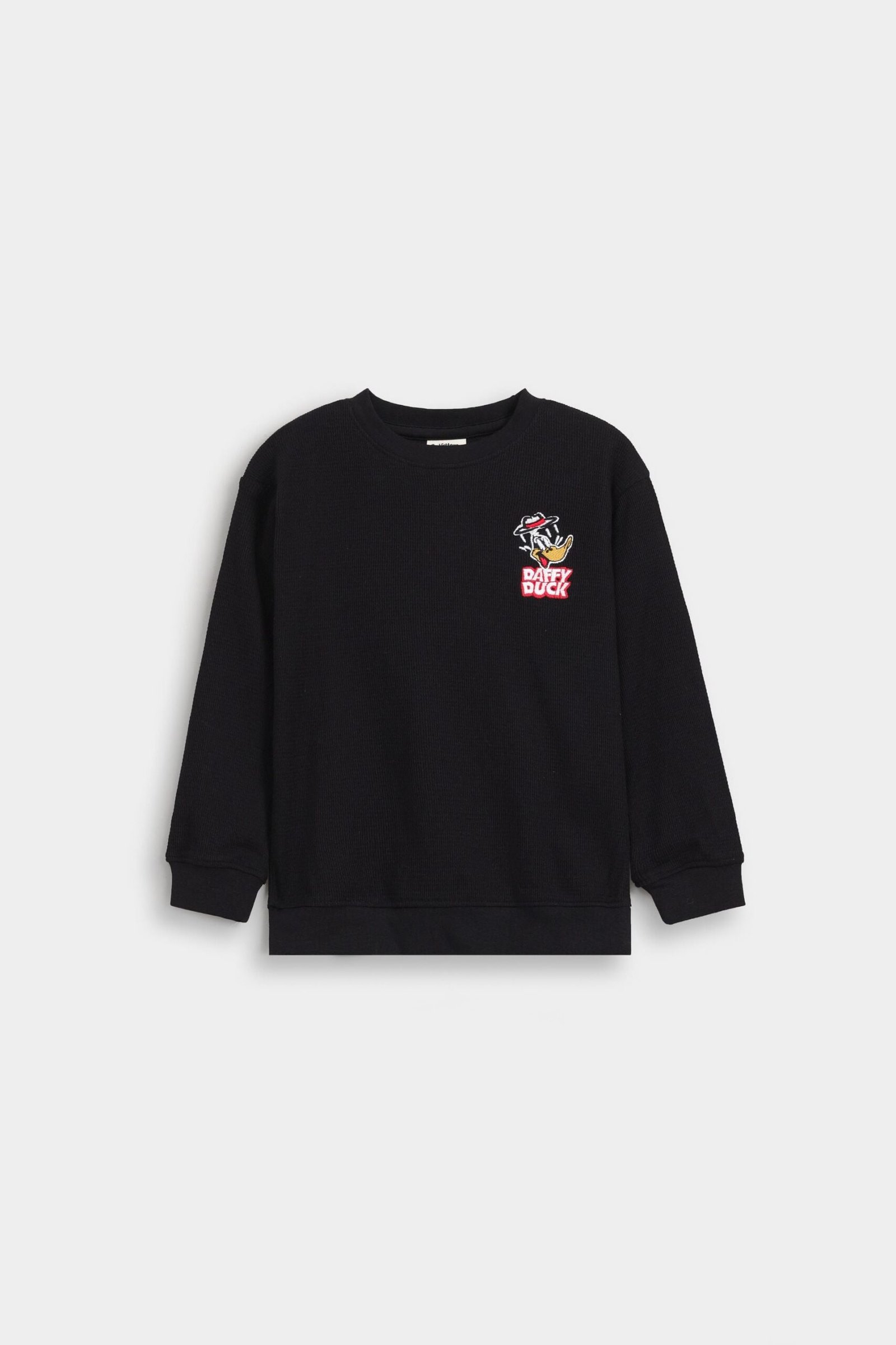 Embroidered Sweatshirt