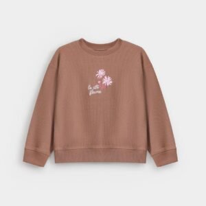Cropped Embroidered Ribbed Sweatshirt