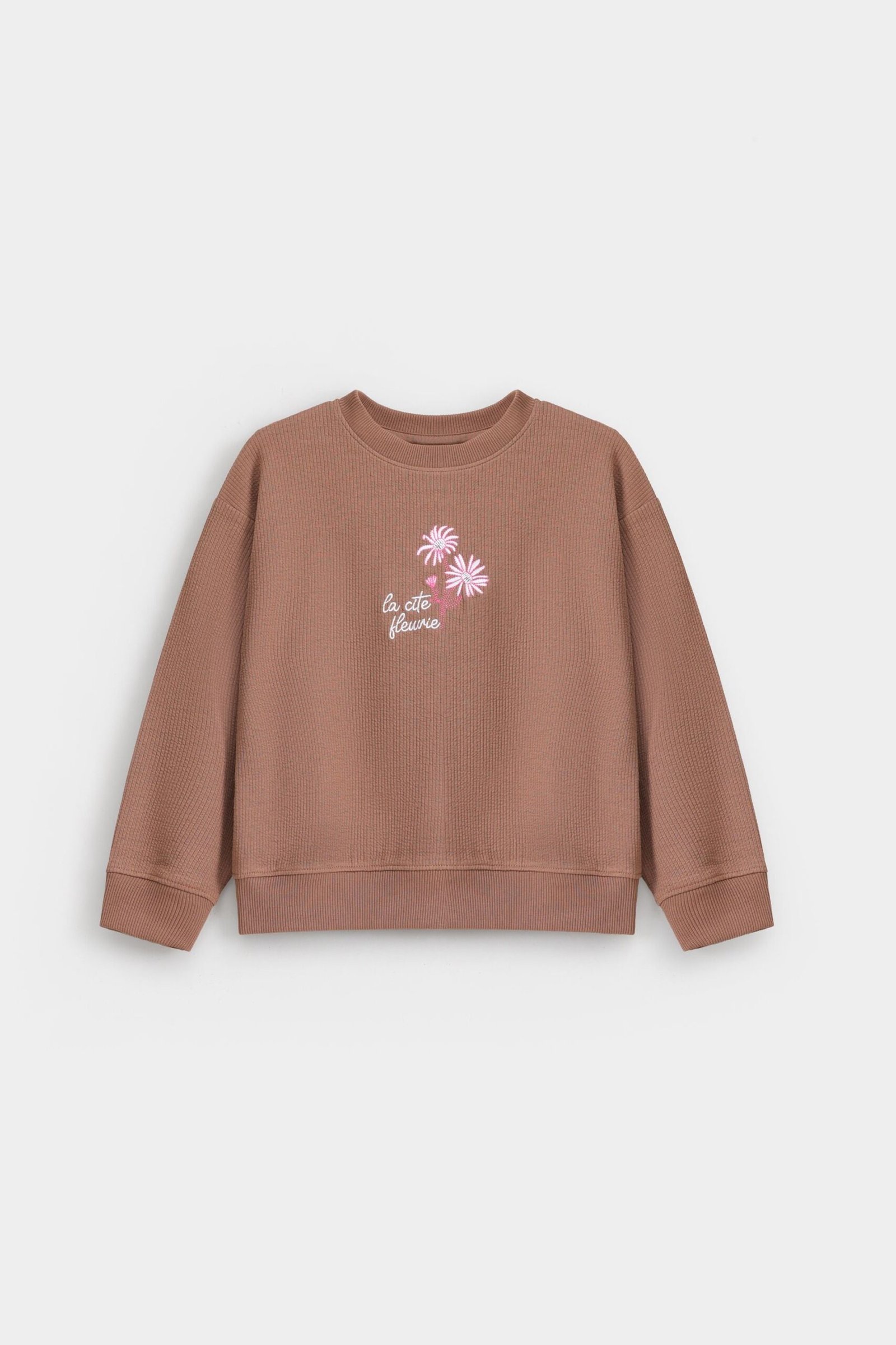 Cropped Embroidered Ribbed Sweatshirt