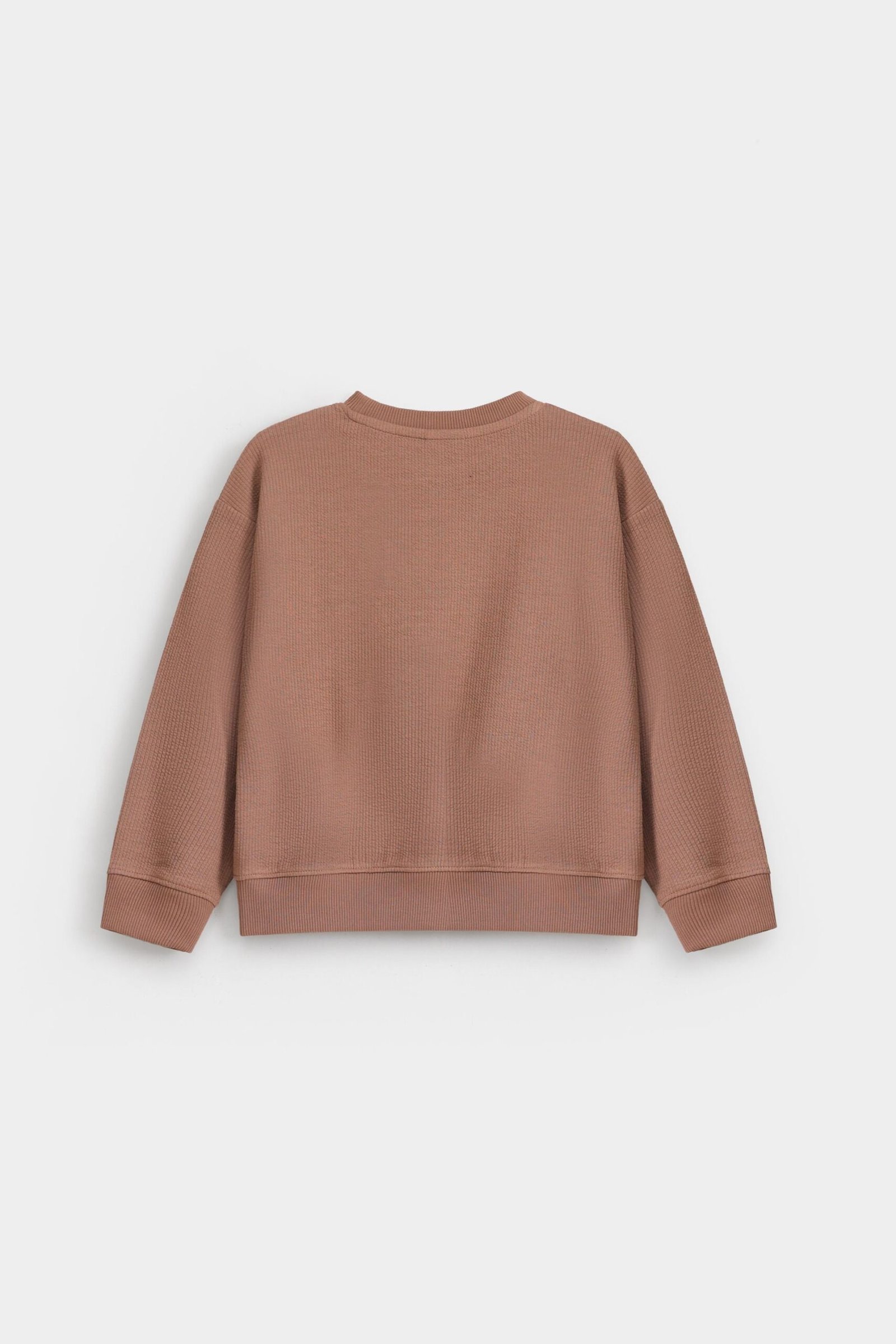 Cropped Embroidered Ribbed Sweatshirt - Image 3