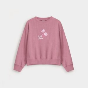 Cropped Embroidered Ribbed Sweatshirt