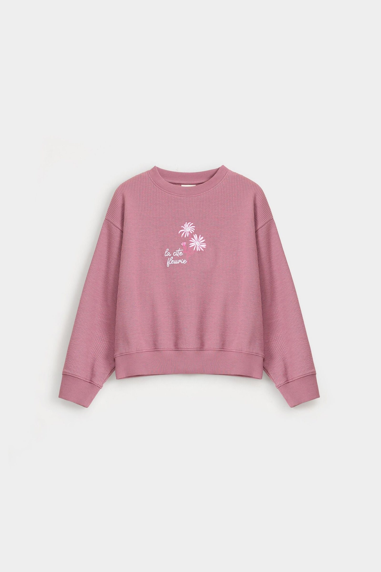 Cropped Embroidered Ribbed Sweatshirt