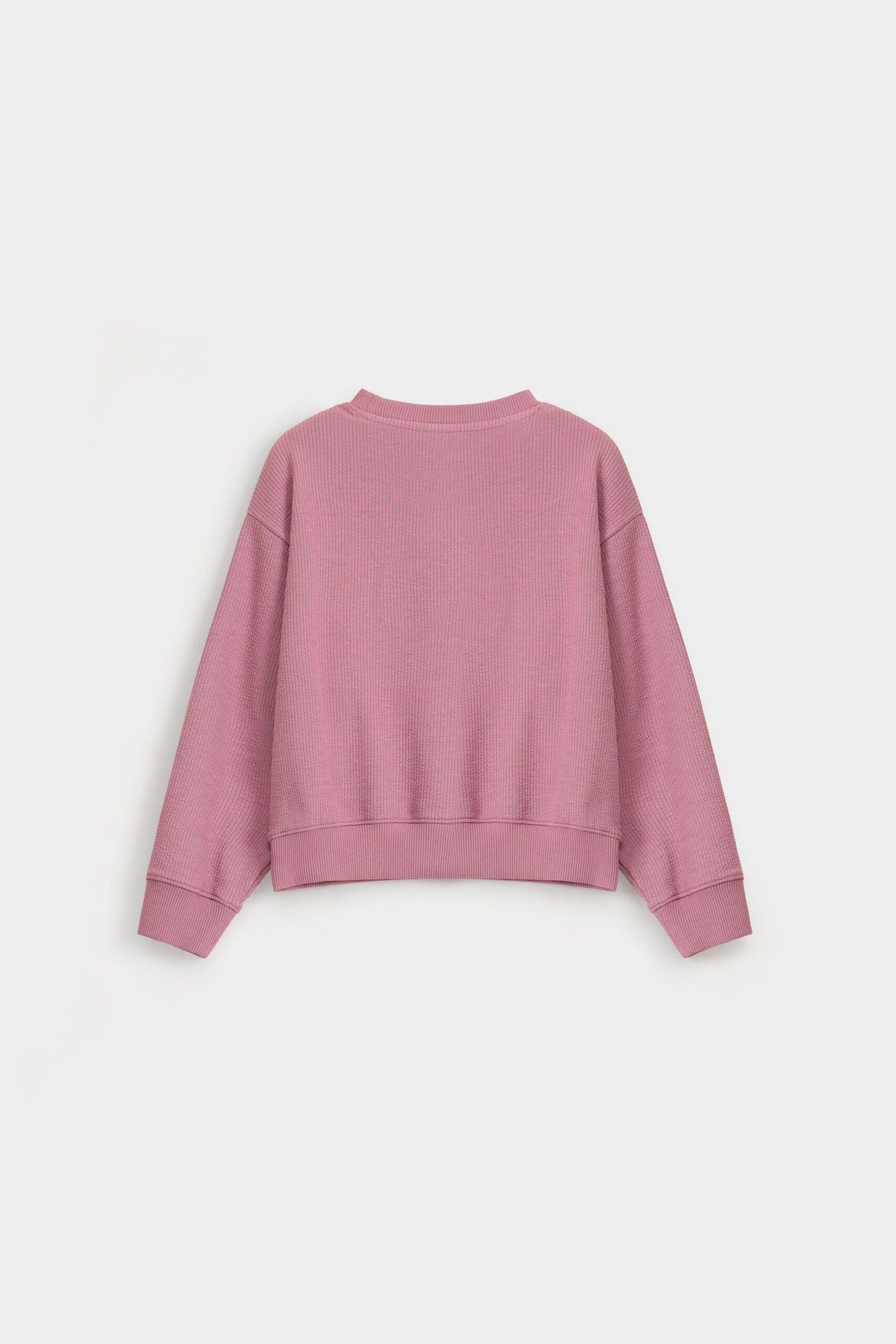Cropped Embroidered Ribbed Sweatshirt - Image 3
