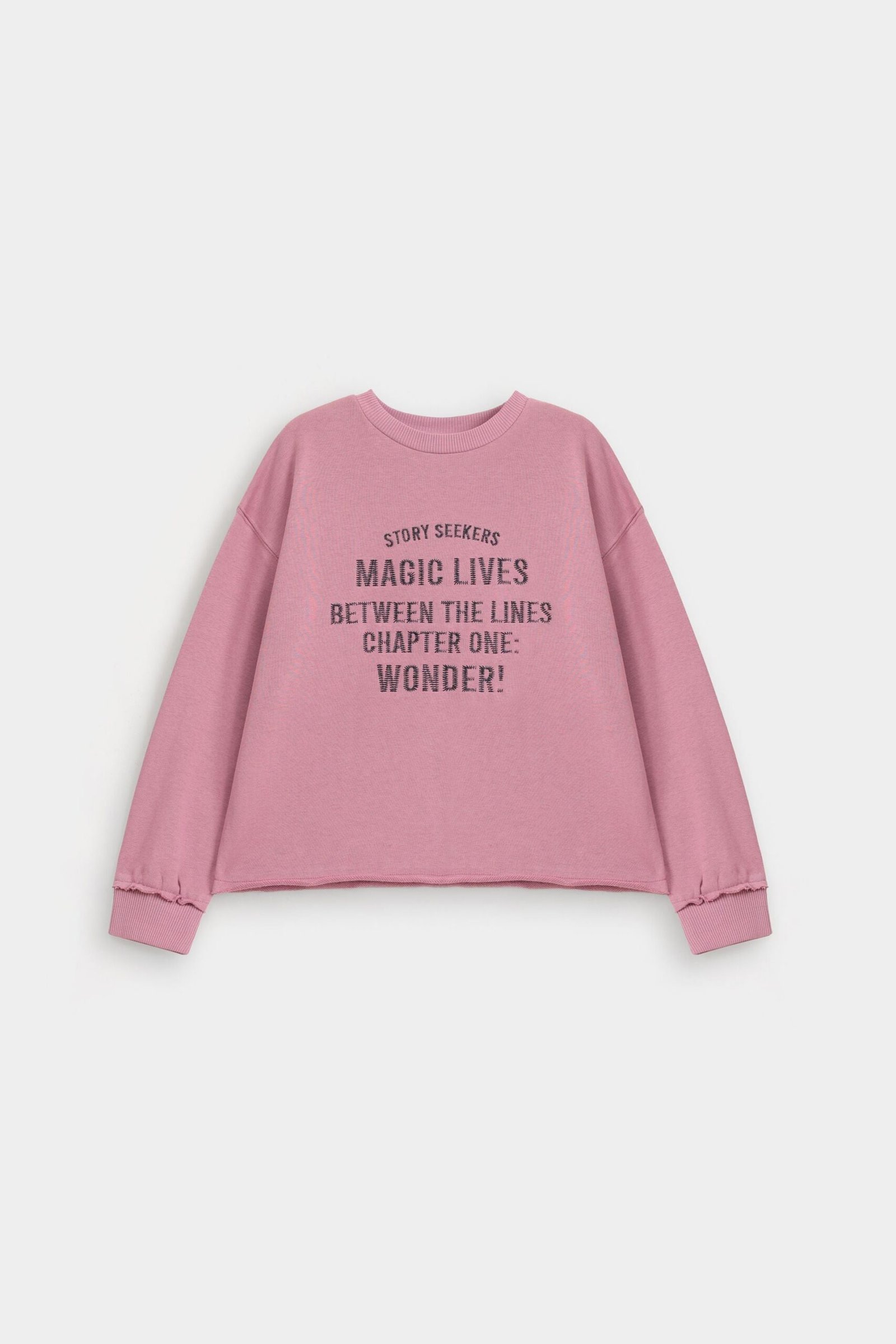 Embroidered Slogan Sweatshirt