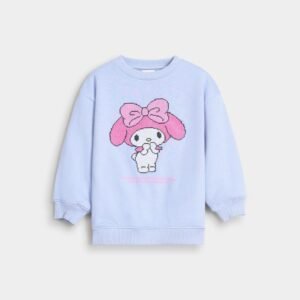 Embroidered Sweatshirt