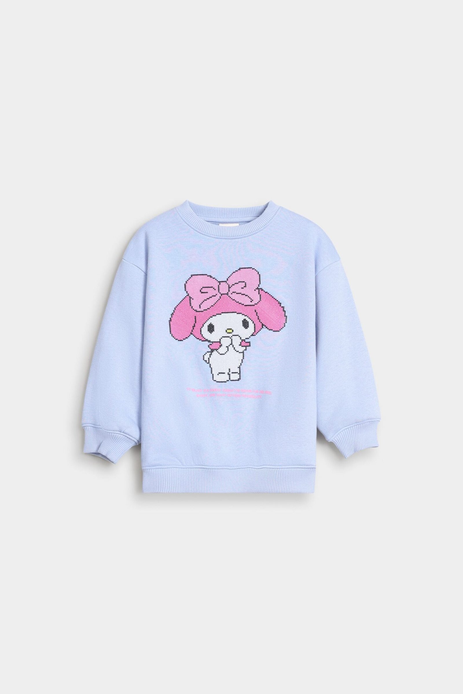 Embroidered Sweatshirt