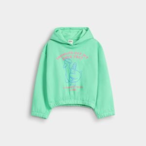 Cropped Graphic Hoodie