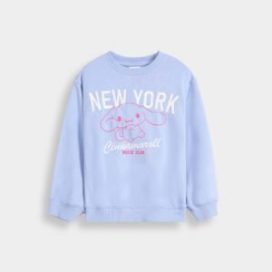 Embroidered Sweatshirt