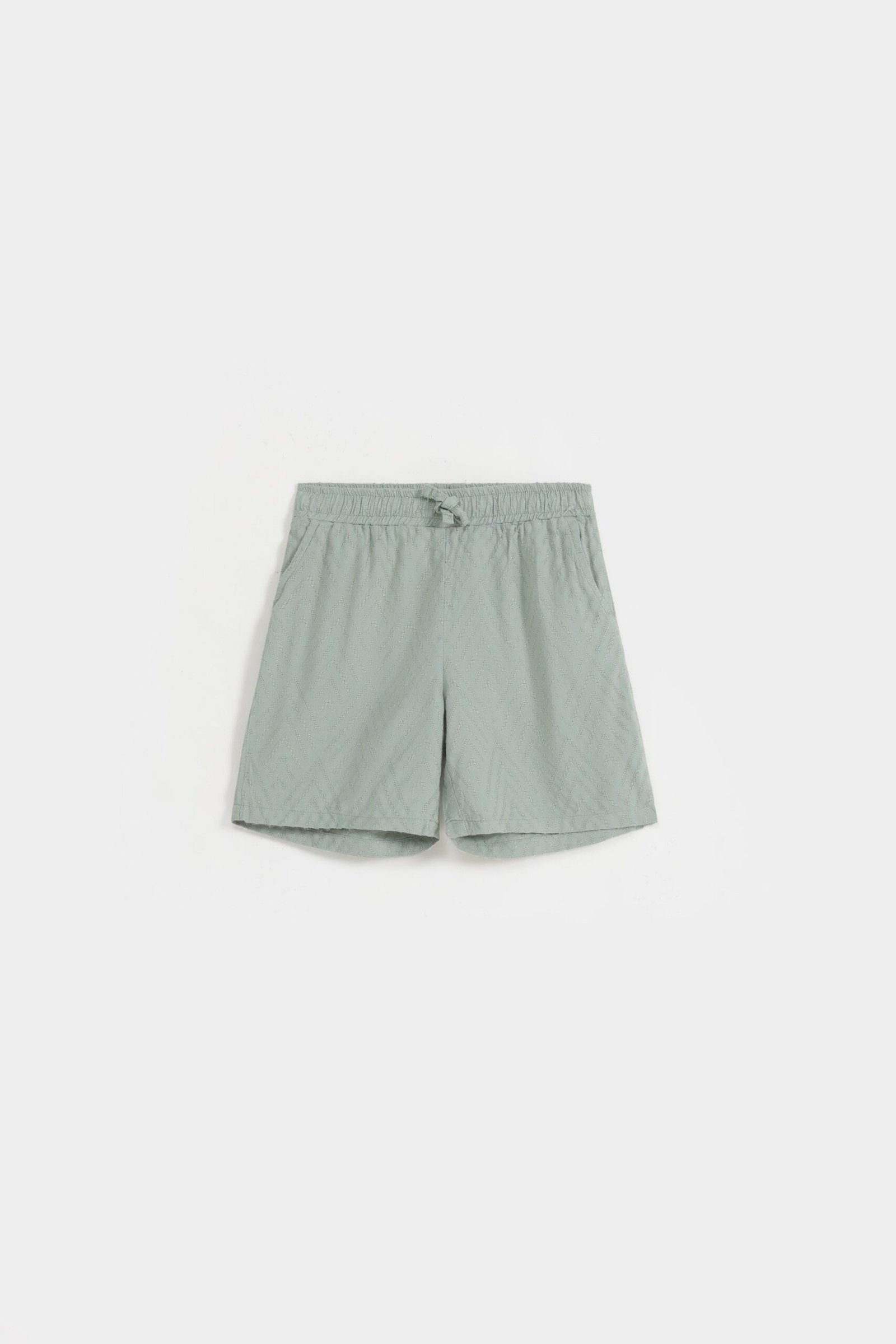 Non-Denim Jacquard Shorts - Image 6