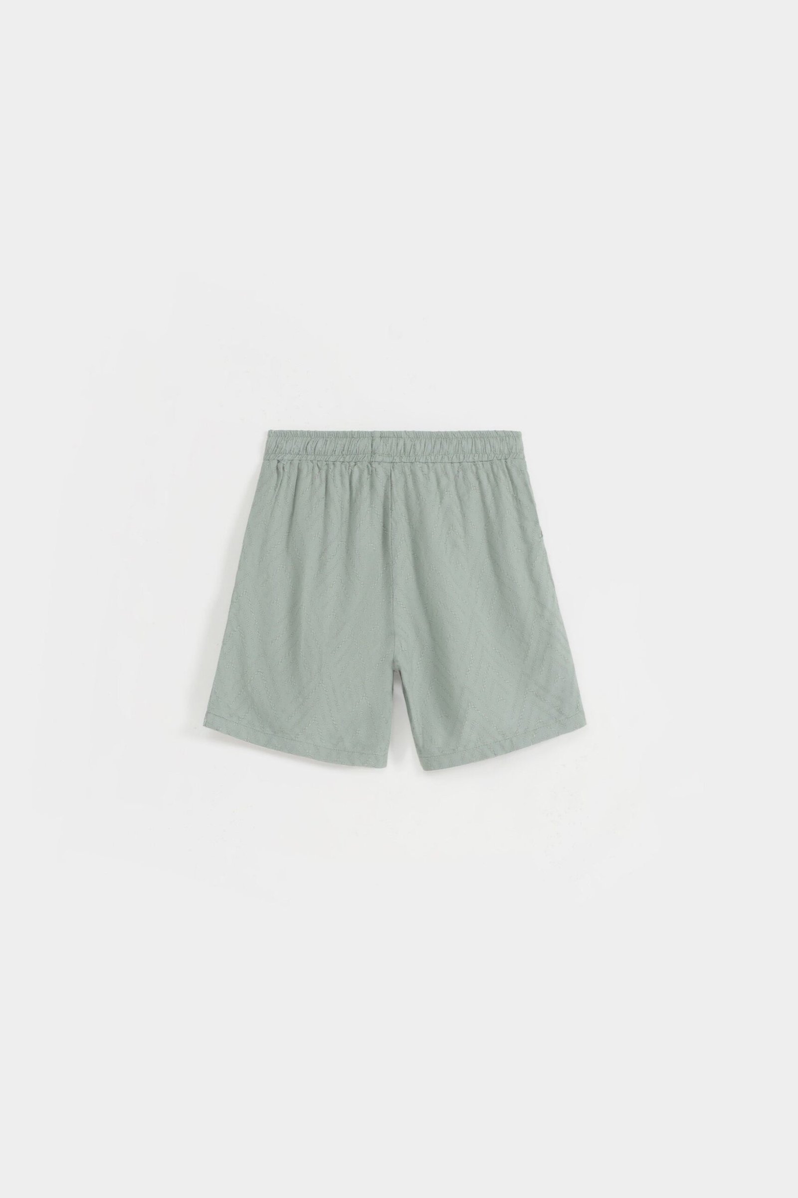 Non-Denim Jacquard Shorts - Image 8