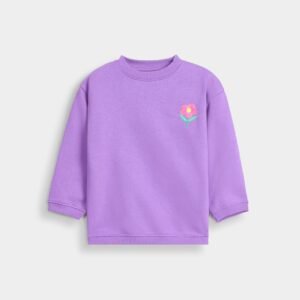Embroidered Sweatshirt