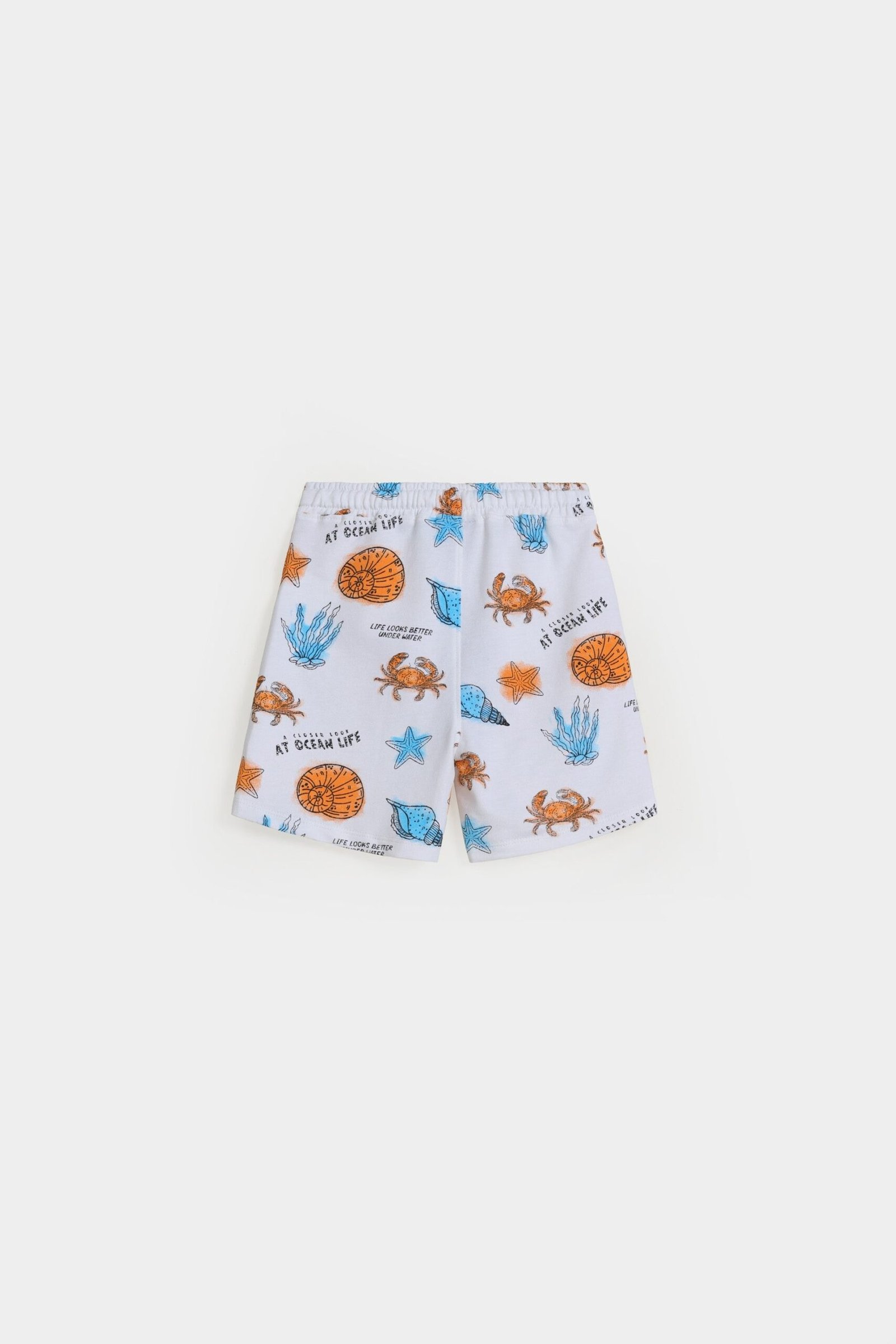 Printed Shorts - Image 3