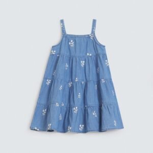 Embroidered Denim Dress