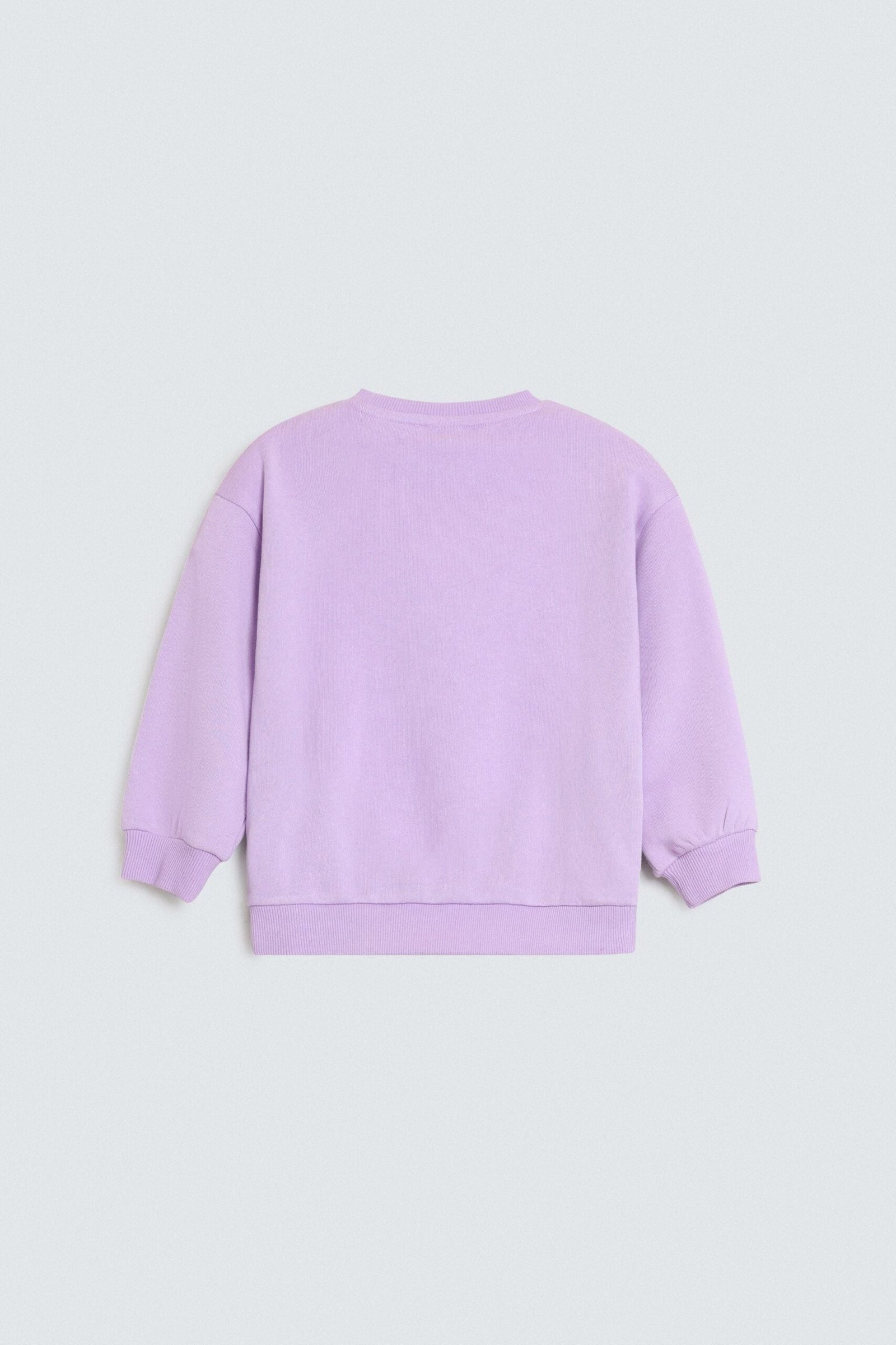 Embellished Sweatshirt - Image 3
