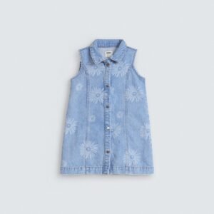 All-Over Print Denim Dress