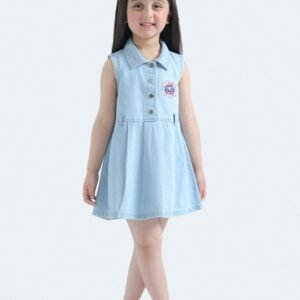 Embroidered Denim Dress