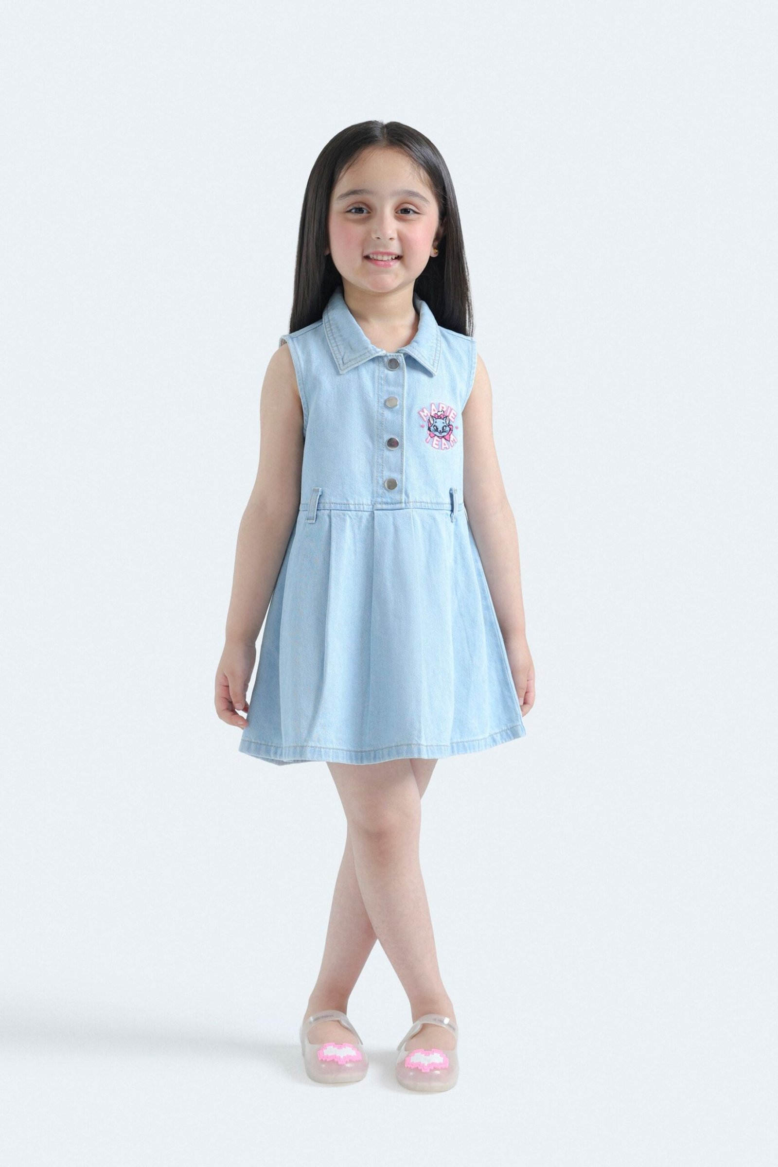 Embroidered Denim Dress