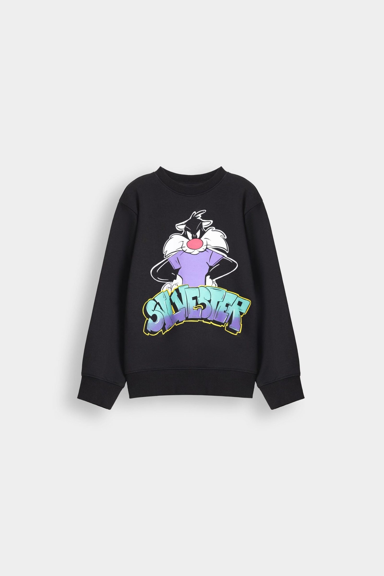 Character Graphic Sweatshirt