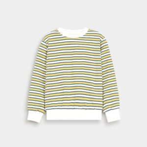 Striped Sweatshirt