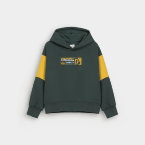 Color Block Hoodie With Label Patch