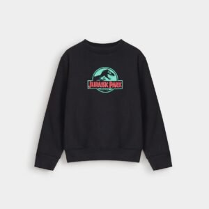 Graphic Sweatshirt