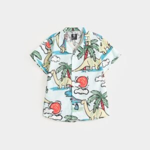 Printed Shirt
