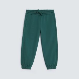 Regular Fit Jogger Trousers
