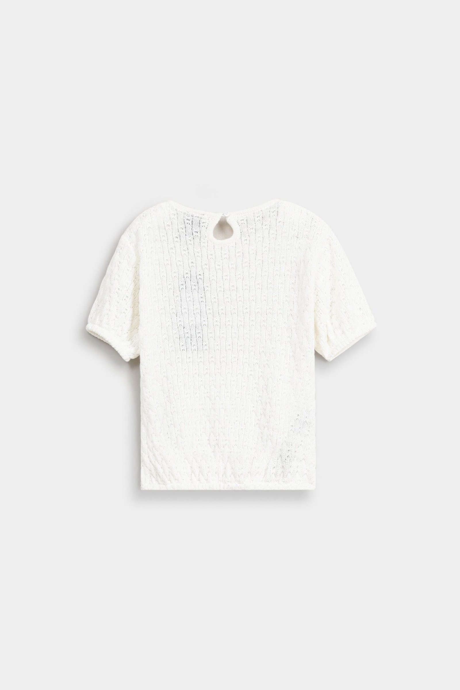 Graphic T-Shirt - Image 3
